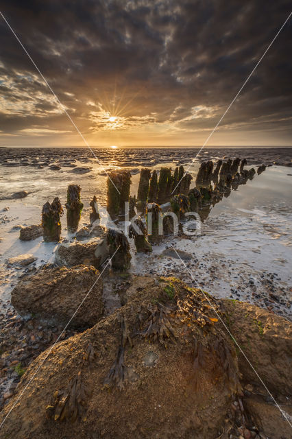 Waddenkust