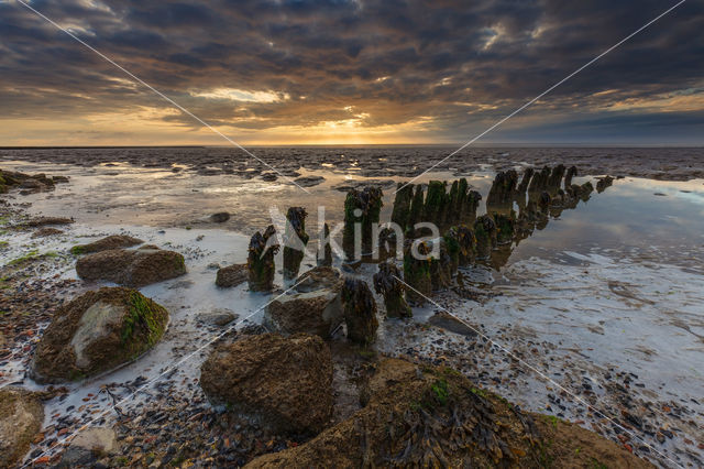 Waddenkust