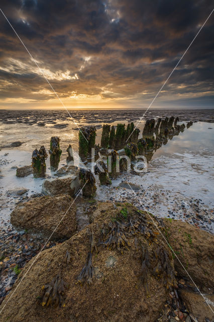 Waddenkust