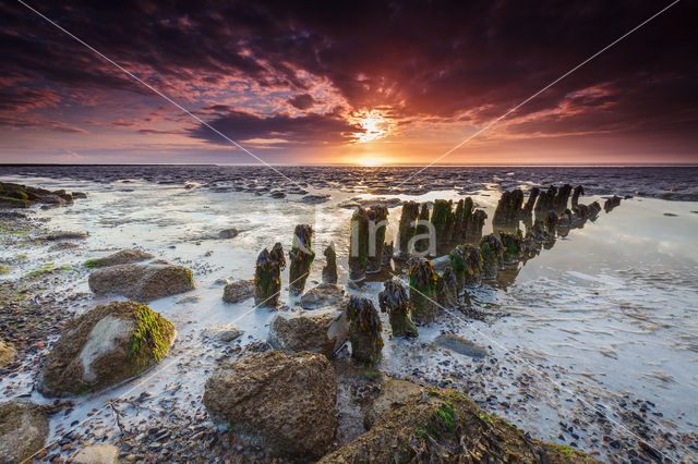 Waddenkust