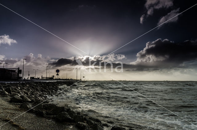 Waddensea