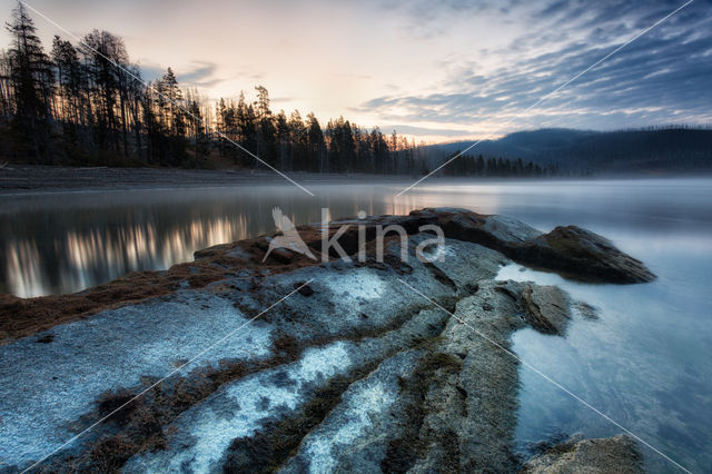 Yellowstone national park