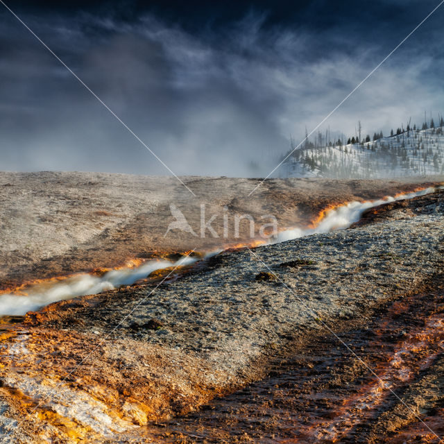 Yellowstone national park