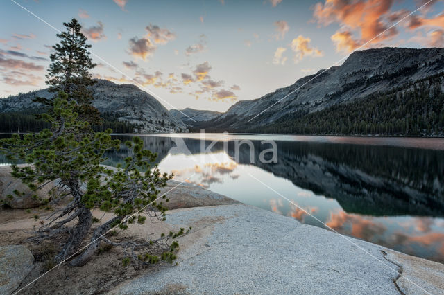 Yosemite National Park