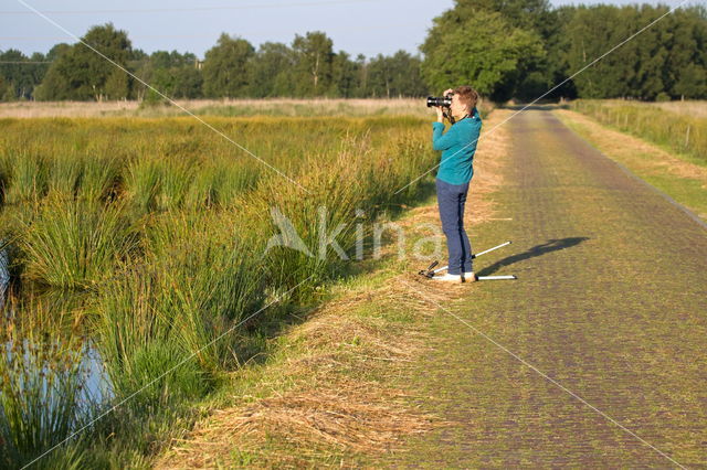 Boerveense plassen