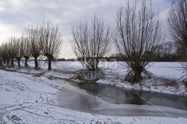 IJssel uiterwaarden