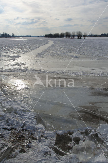 IJssel uiterwaarden