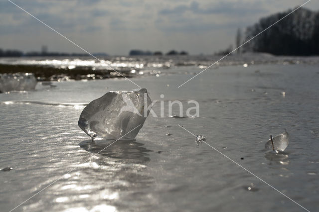 IJssel uiterwaarden