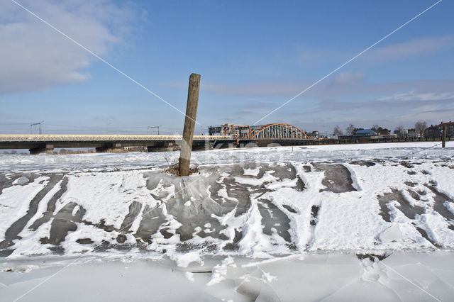 IJssel uiterwaarden