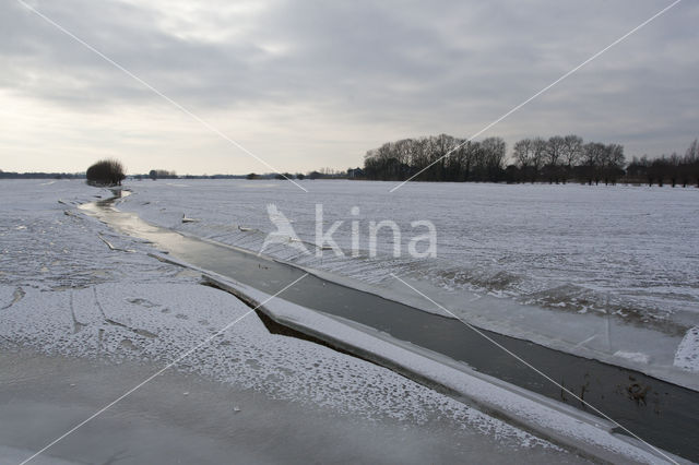 IJssel uiterwaarden