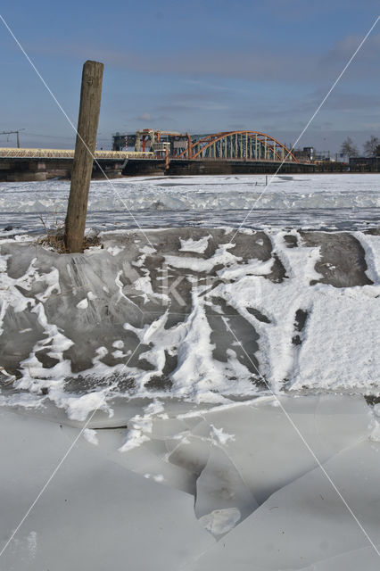 IJssel uiterwaarden