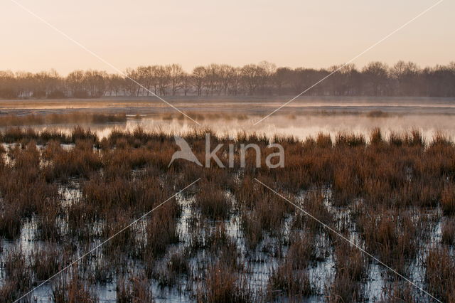 National Park Dwingelderveld