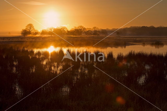 Nationaal Park Dwingelderveld