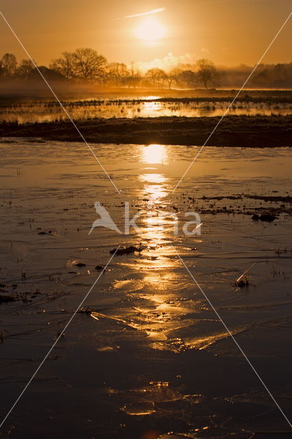 National Park Dwingelderveld