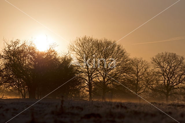 Nationaal Park Dwingelderveld