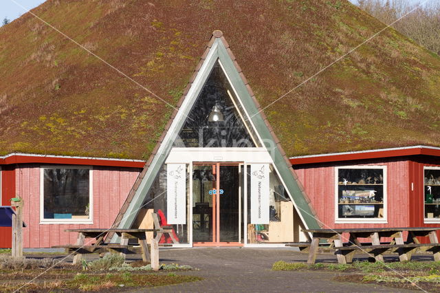 Nationaal Park Dwingelderveld