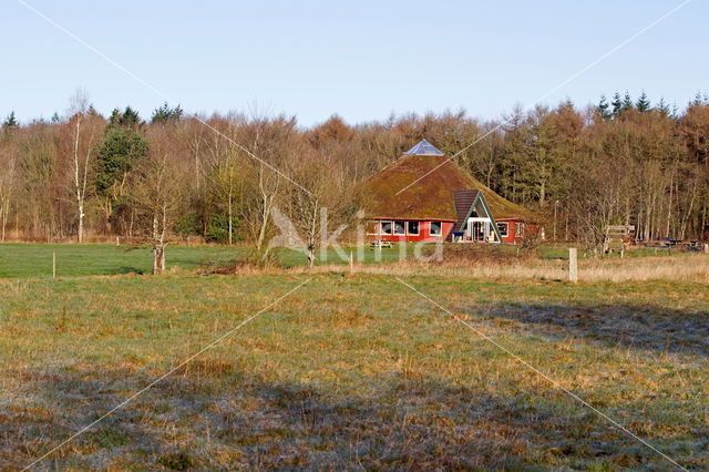 National Park Dwingelderveld