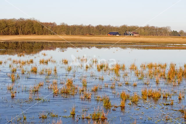 Nationaal park Dwingelderveld