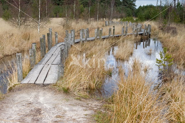 Nationaal Park Dwingelderveld