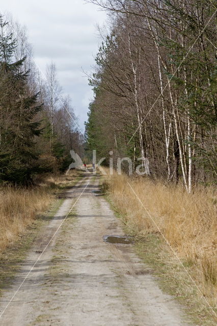 Nationaal Park Dwingelderveld