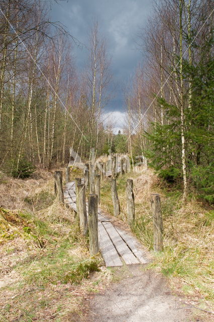 Nationaal Park Dwingelderveld