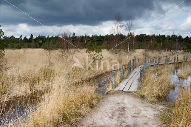 Nationaal Park Dwingelderveld