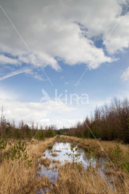 Nationaal Park Dwingelderveld