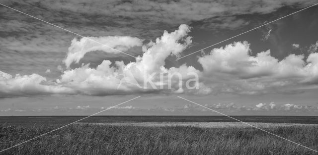 Nationaal Park Lauwersmeer