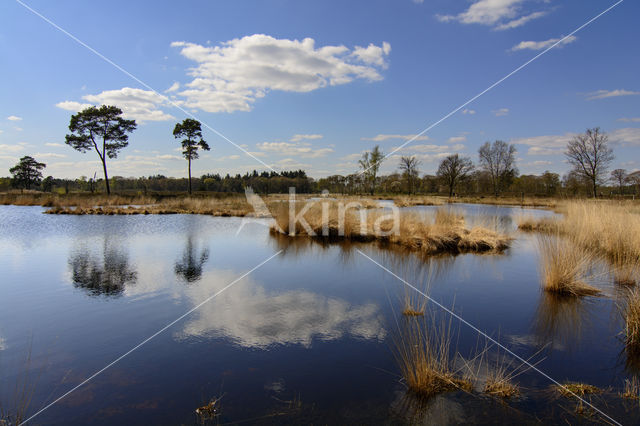 Overasseltse en Hatertse Vennen