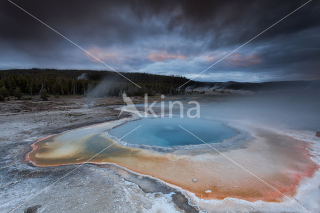 Yellowstone National Park