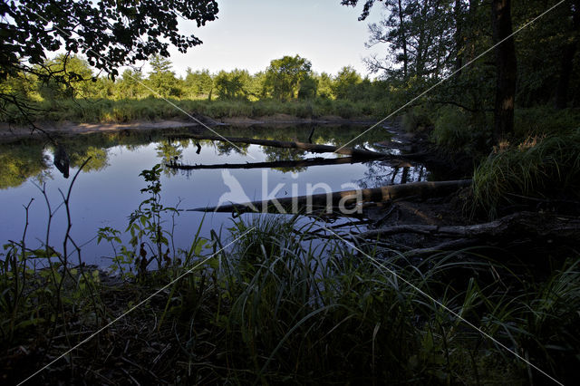 Biebrza National Park