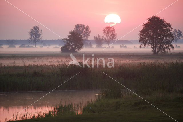 Biebrza National Park