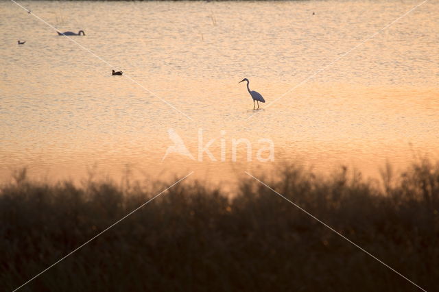 Donau delta