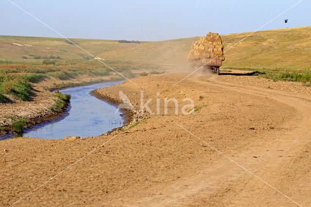 Donau delta