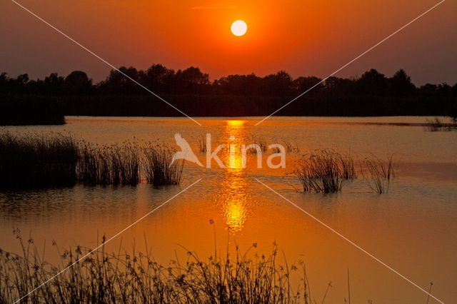 Donau delta