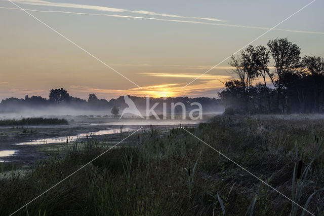 Empese en Tondense Heide