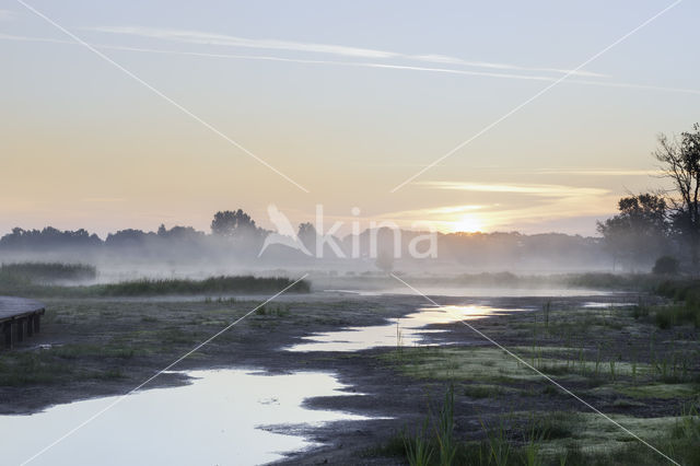 Empese en Tondense Heide