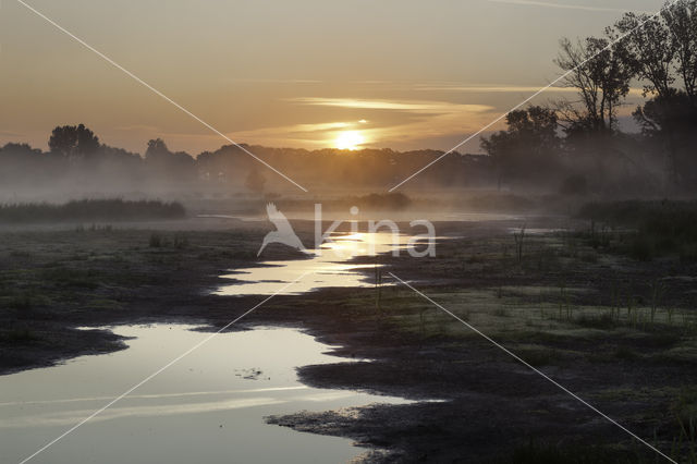 Empese en Tondense Heide