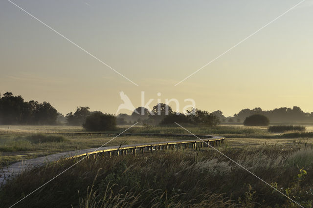 Empese en Tondense Heide