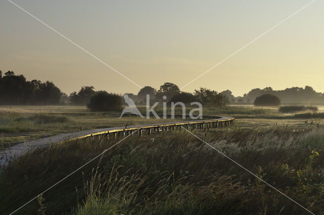 Empese en Tondense Heide