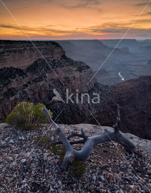 Grand Canyon National Park