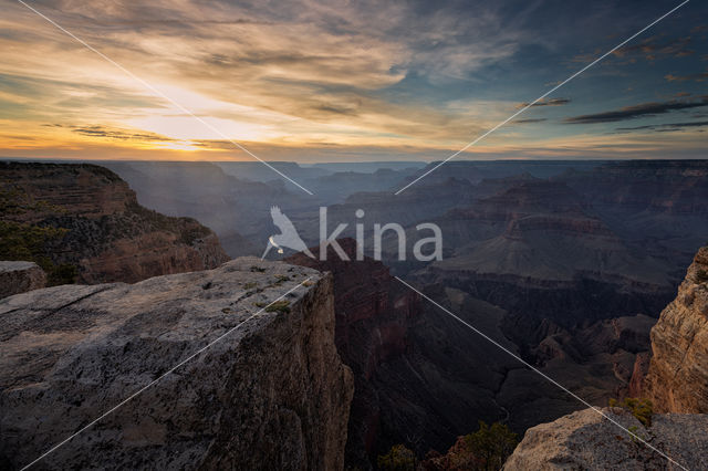 Grand Canyon National Park