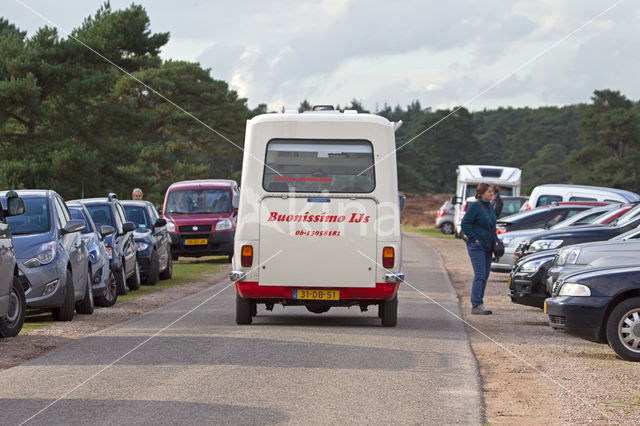 Nationaal Park De Hoge Veluwe