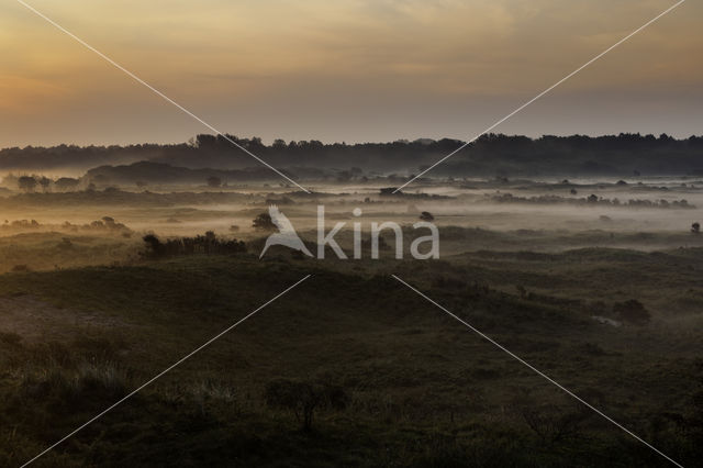 Noordhollands Duinreservaat