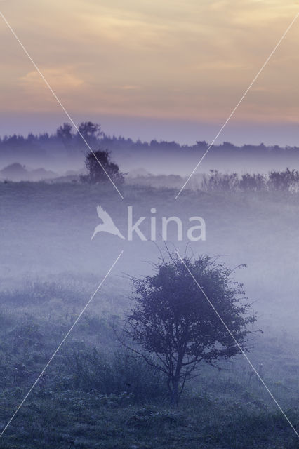 Noordhollands Duinreservaat