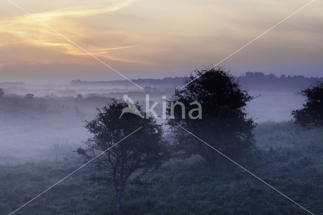 Noordhollands Duinreservaat