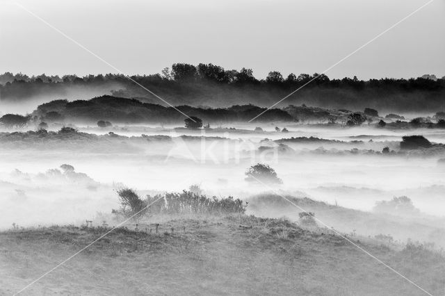 Noordhollands Duinreservaat