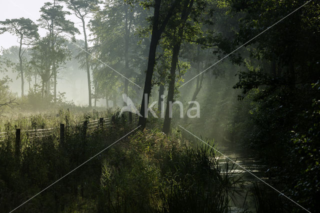 Noordhollands Duinreservaat