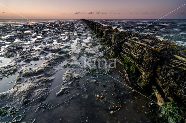 Noordpolder