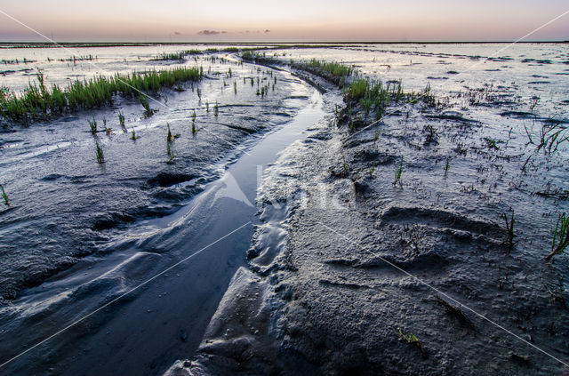 Noordpolder